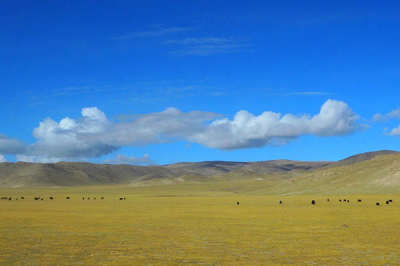 9 days Lhasa-Yamdroktso-Shigatse-Mt. Everest-Namtso Lake Tour