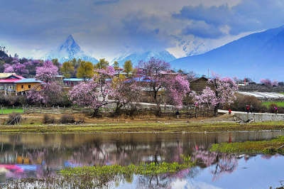 11 Days Lhasa-Nyingchi-Yamdroktso-Shigatse-Mt. Everest-Namtso Lake Tour