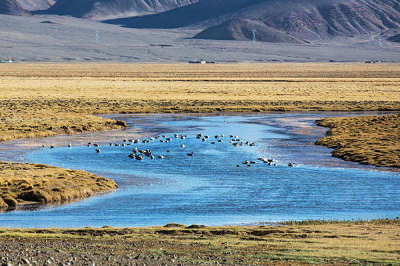9 days Lhasa-Yamdroktso-Shigatse-Mt. Everest-Namtso Lake Tour