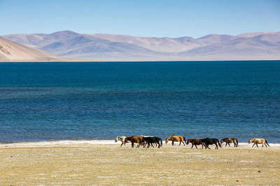 7 Days Lhasa-Yamdroktso-Shigatse-Mt. Everest Tour