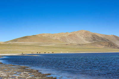 11 Days Lhasa-Nyingchi-Yamdroktso-Shigatse-Mt. Everest-Namtso Lake Tour