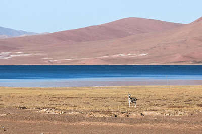 Chitwan National Park