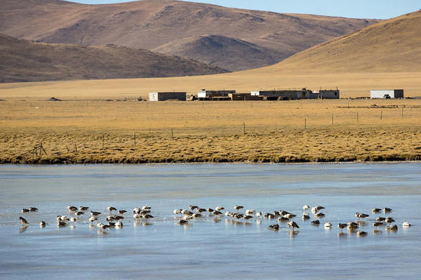 Which type of bicycle should I use to cycle from Chengdu to Lhasa