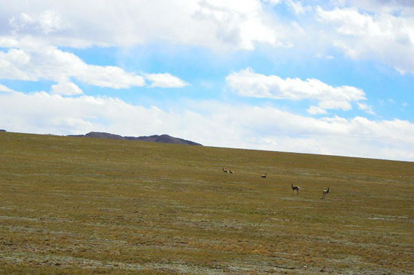 What Can I see along the Sichuan-Tibet highway Northern Route?