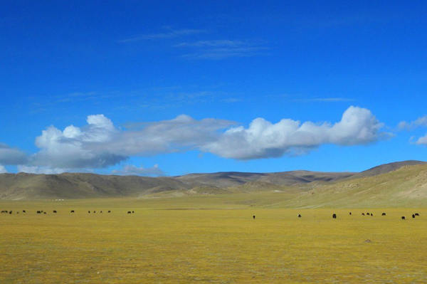 How to Get to Tibet from Beijing