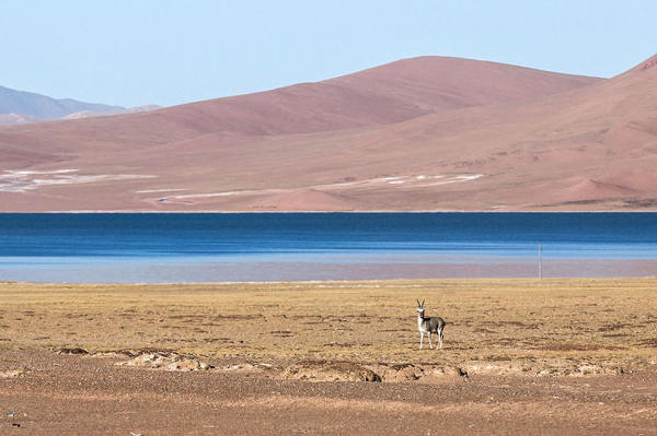 How to get to Tibet from Hongkong