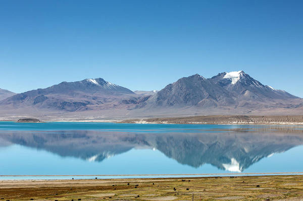 Yamdrok Lake