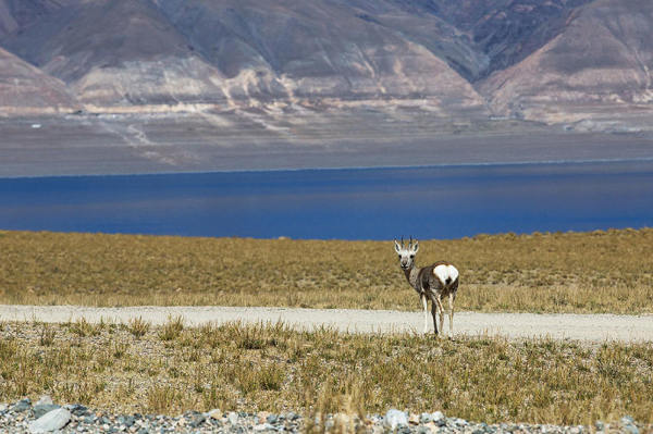 How to prevent altitude sickness