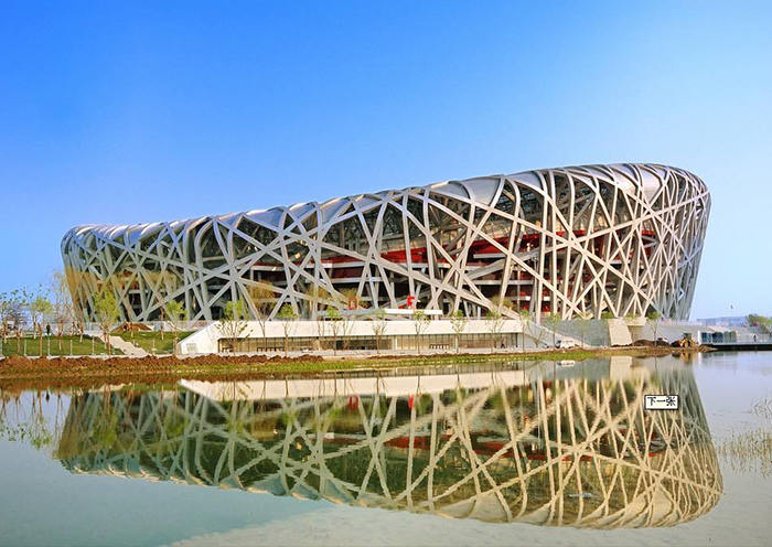 bird nest