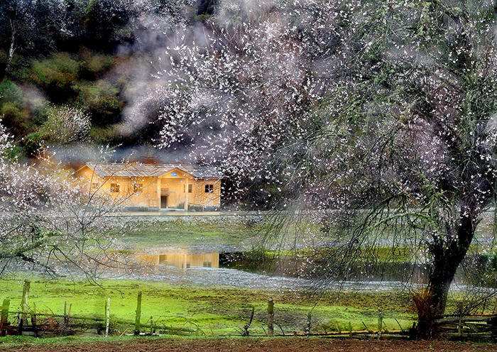 Nyingchi weather in August