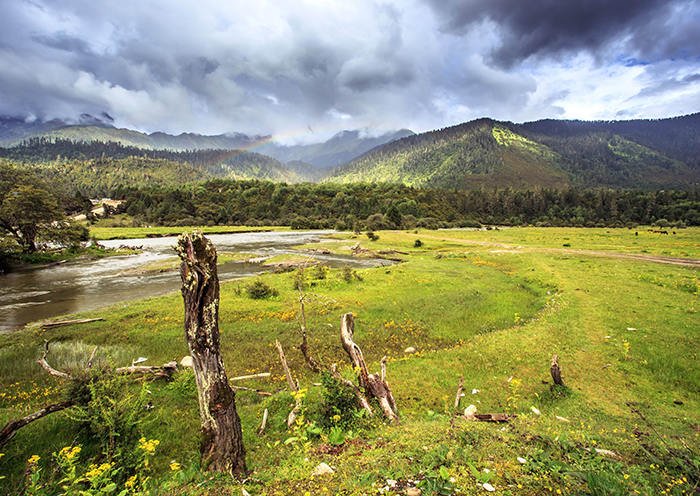 Nyingchi weather in April