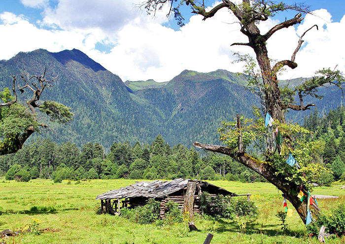 Nyingchi weather in February