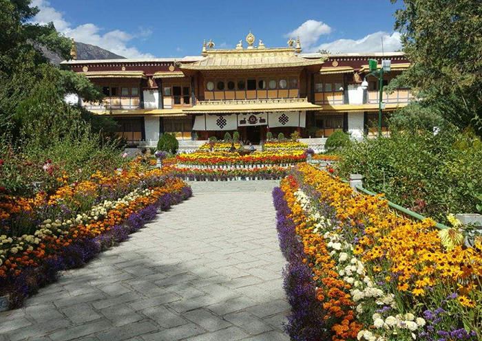 Tibet Local family Visit, Lhasa Tour Package-Tibet Odyssey Tours
