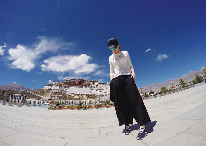 potala palace