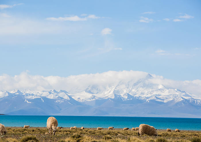 Shigatse Market Traveling Tips