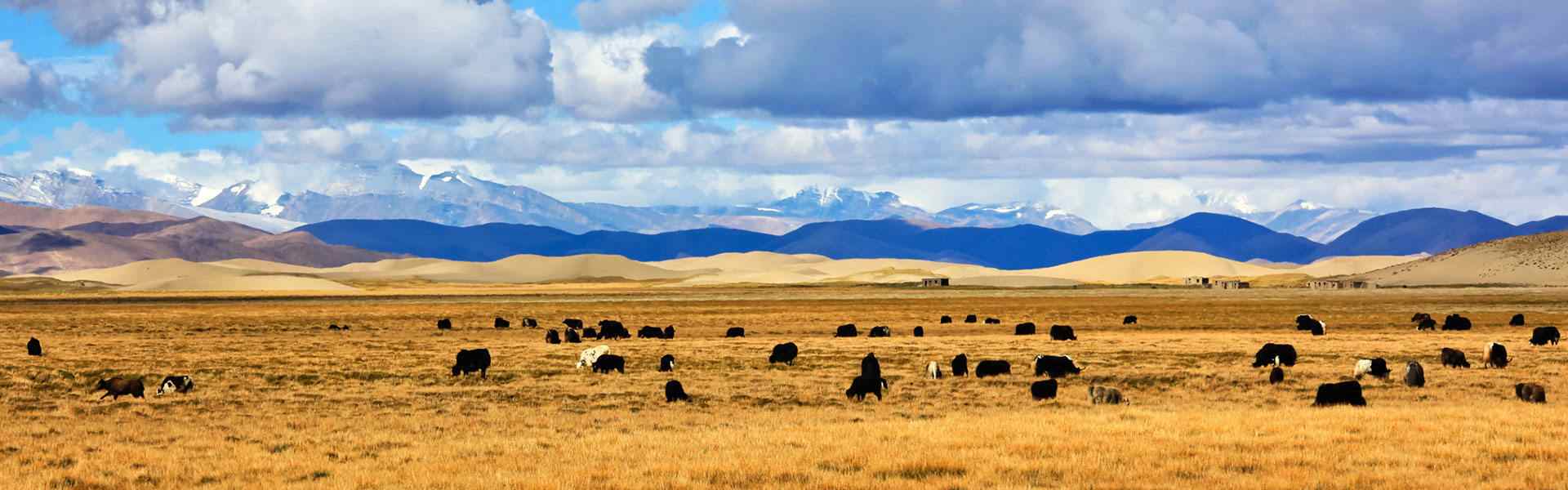 kailash tour package